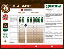 Cargar imagen en el visor de la galería, BN-ZYM