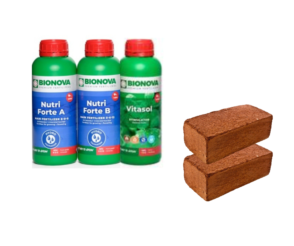 KIT HYDRO